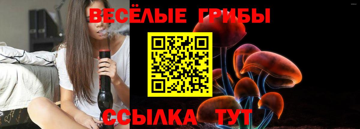 Галлюциногенные грибы MAGIC MUSHROOMS Изобильный